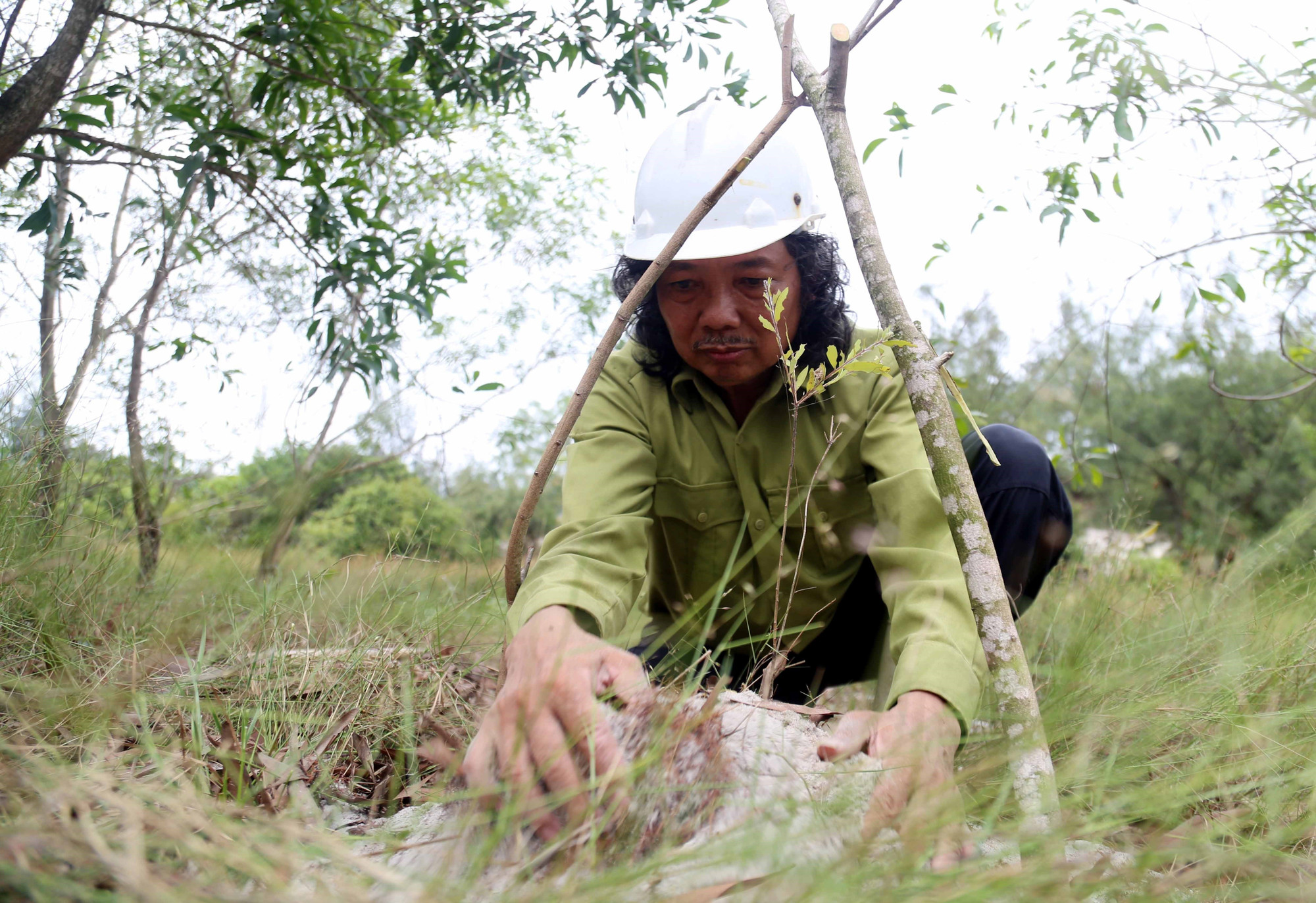 Nhà báo Tâm Phùng trồng cây trên vùng cát trắng tại thôn Bắc Ngũ, xã Gia Ninh (Quảng Ninh, tỉnh Quảng Bình). Nhà báo Tâm Phùng trồng cây trên vùng cát trắng tại thôn Bắc Ngũ, xã Gia Ninh (Quảng Ninh, tỉnh Quảng Bình).