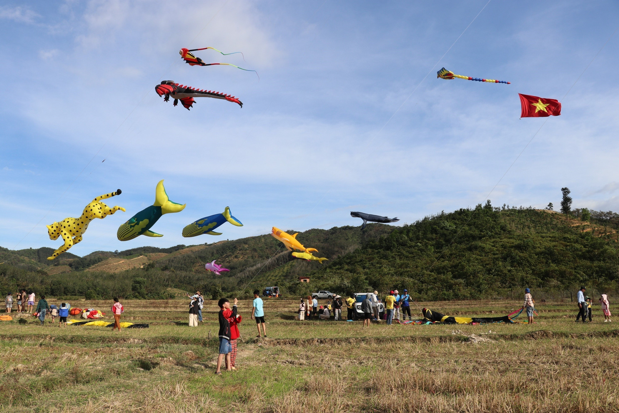 Bù Đăng thường xuyên tổ chức các lễ hội để thu hút phát triển du lịch. Ảnh: Nhật Bình/TTXVN