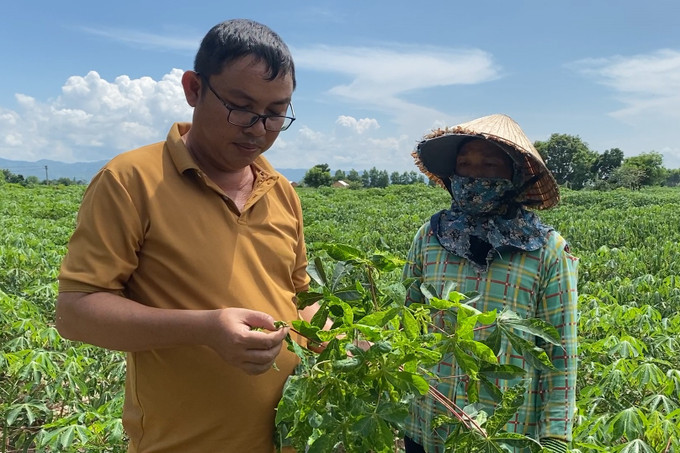 Cán bộ nông nghiệp hướng dẫn cách phòng trừ sâu bệnh cho đồng bào dân tộc ở huyện Krông Pa. Ảnh: Hồng Điệp Đánh thức vùng đất Krông Pa ảnh 5
