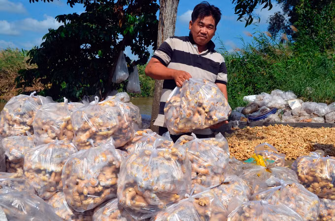 Kiên Giang khơi dậy ý thức thoát nghèo ở vùng đồng bào Khmer ảnh 3