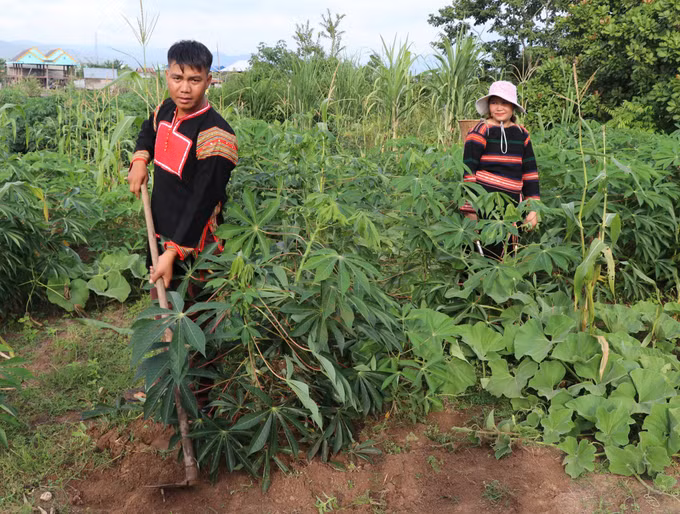 Đánh thức vùng đất Krông Pa ảnh 4