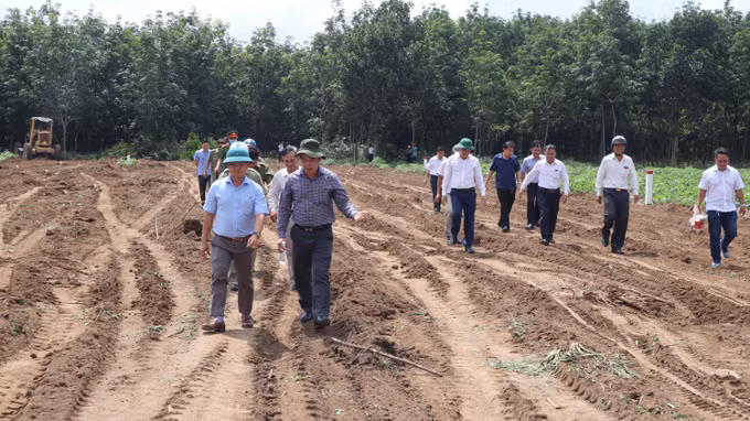 Lan tỏa phong trào "việc phố, việc làng, đất vàng cũng hiến" ảnh 1
