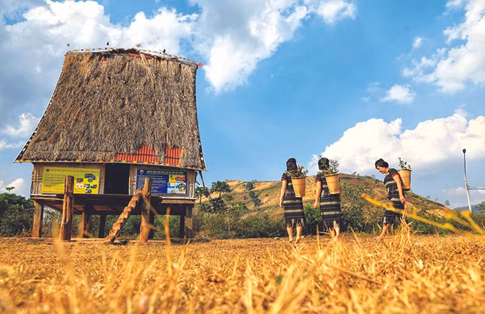 Vẻ đẹp phố núi Gia Lai ảnh 1