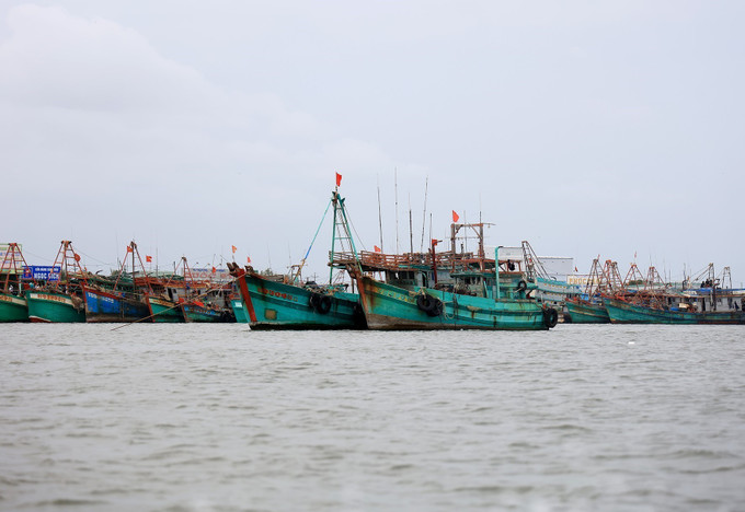 Tàu khai thác thủy sản neo đậu trên cửa biển thị trấn Sông Đốc, huyện Trần Văn Thời, tỉnh Cà Mau. Ảnh: Hồng Đạt – TTXVN Vững vàng nơi tiền đồn Tây Nam Tổ quốc (Bài 3) ảnh 1