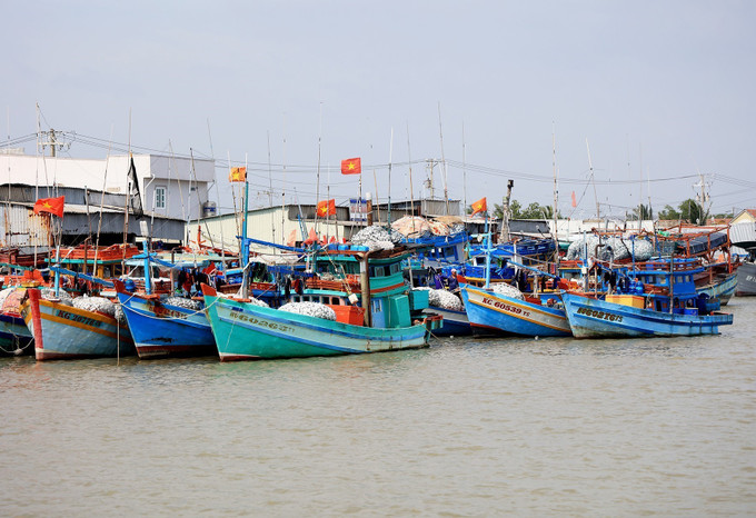 Tàu cá trên 15m hiện phải đảm bảo 100% lắp đặt phương tiện giám sát hành trình, phải tuân thủ nghiêm quy định phòng, chống vi phạm IUU. Ảnh: Hồng Đạt – TTXVN Vững vàng nơi tiền đồn Tây Nam Tổ quốc (Bài 2) ảnh 1