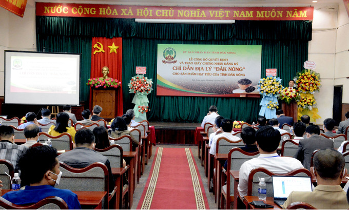 Theo Ủy ban Nhân dân tỉnh Đắk Nông, hồ tiêu là cây trồng đầu tiên của tỉnh được cấp chứng nhận đăng ký chỉ dẫn địa lý. Ảnh: Hưng Thịnh Hồ tiêu - “Vàng đen” của Đắk Nông ảnh 5