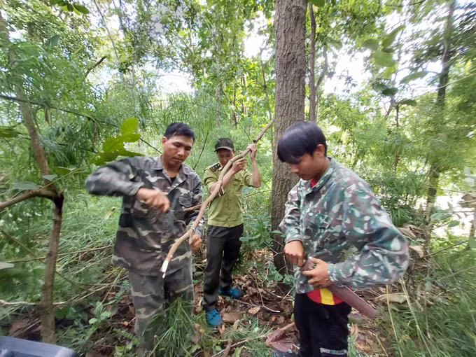 Đắk Lắk: Phát huy vai trò cộng đồng trong bảo vệ động vật hoang dã ảnh 2