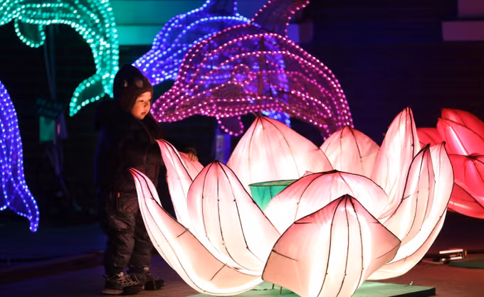 Rực rỡ Lễ hội Đèn lồng ở Trung Quốc ảnh 3