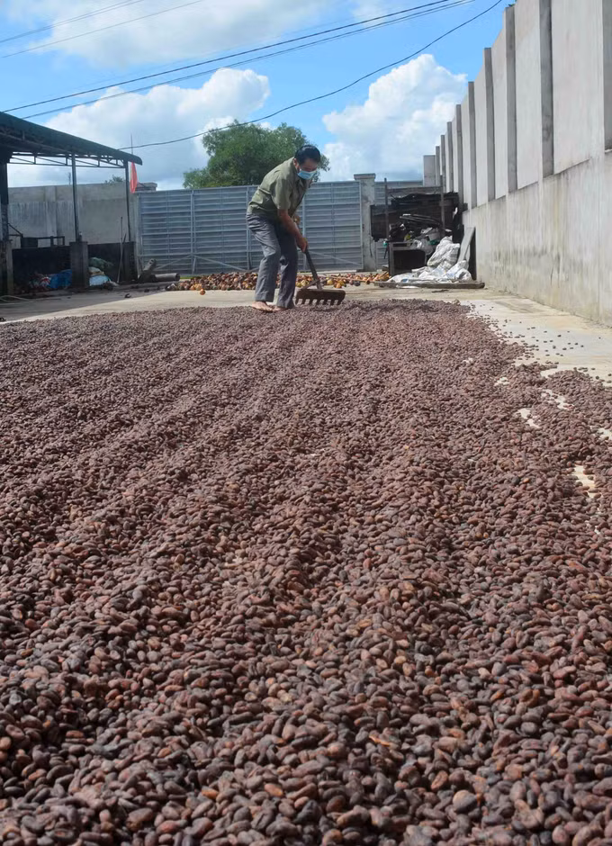 Ea Kar phát triển kinh tế tập thể ảnh 7