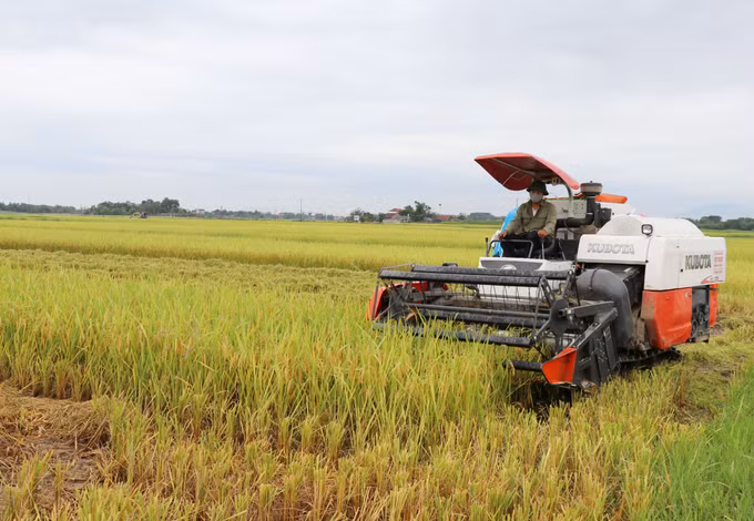 Phú Bình hướng tới huyện nông thôn mới đầu tiên của tỉnh Thái Nguyên ảnh 1