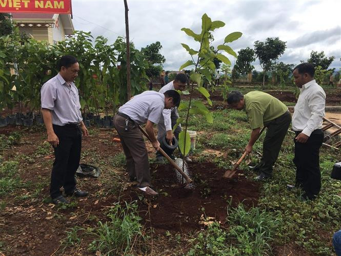 Các đại biểu tham dự Lễ phát động trồng cây phân tán năm 2020 trồng cây lưu niệm tại tại xã Đăk Smơi, huyện Đăk Đoa (Gia Lai). Ảnh: Hồng Điệp - TTXVN Gia Lai phát động trồng rừng năm 2020 ảnh 2