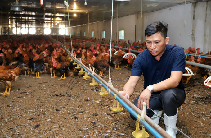 Nông dân 4.0 trên quê lúa Thái Bình ảnh 2