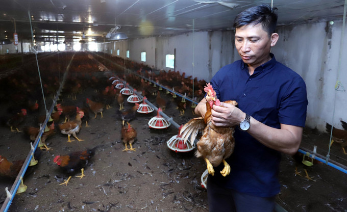 Nông dân 4.0 trên quê lúa Thái Bình ảnh 1