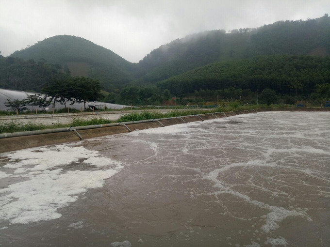 Hệ thống hồ sục khí đảm bảo chức năng xử lý nước sau bể biogas ở Nhà máy chế biến tinh bột sắn Hoa Sơn. Ảnh: baonghean.vn Nghệ An tìm giải pháp bảo vệ tốt môi trường ảnh 1
