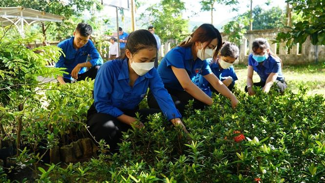 Hoạt động thiết thực của các đoàn viên, thanh niên Thừa Thiên - Huế mở màn Chiến dịch Thanh niên tình nguyện hè năm 2022. Ảnh: TTXVN phát Đoàn viên, thanh niên Thừa Thiên - Huế tập trung phát triển kinh tế, xã hội địa phương ảnh 4