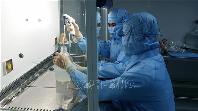 Nghiên cứu sản xuất vaccine trên trứng gà có phôi tại nhà máy sản xuất vaccine đặt ở huyện Cam Lâm, tỉnh Khánh Hòa. Ảnh: TTXVN phát Dịch COVID-19: Chạy đua từng ngày để điều chế vaccine ảnh 7