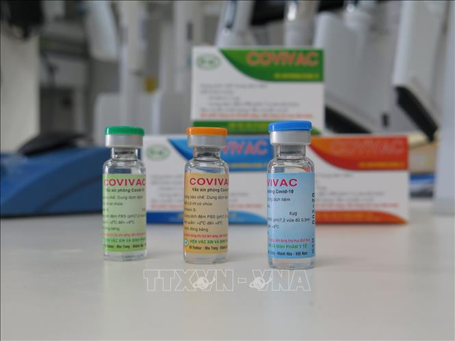 Vaccine Covivac thành phẩm do Viện Vaccine và Sinh phẩm Y tế (thuộc Bộ Y tế) đặt tại Khánh Hòa nghiên cứu và sản xuất. Ảnh: Phan Sáu – TTXVN Dịch COVID-19: Chạy đua từng ngày để điều chế vaccine ảnh 1