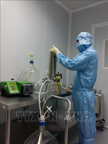 Nghiên cứu sản xuất vaccine tại nhà máy sản xuất vaccine hiện đại đặt ở huyện Cam Lâm, tỉnh Khánh Hòa. Ảnh: TTXVN phát Dịch COVID-19: Chạy đua từng ngày để điều chế vaccine ảnh 6