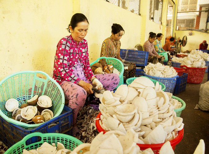 Công nhân làm việc tại Hợp tác xã nông nghiệp Thới Thạnh (ấp Xương Thạnh A, xã Thới Thạnh, huyện Thạnh Phú). Ảnh: Hồng Đạt – TTXVN Nông nghiệp xanh (Bài 2) ảnh 2