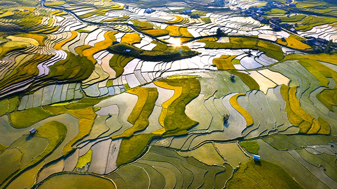 Bức tranh thiên nhiên ở huyện Mù Cang Chải ảnh 1