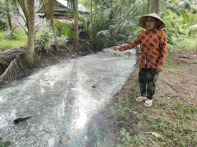 Dòng kênh ô nhiễm, mặt nước nổi màng màu trắng đục. Ảnh: Huỳnh Phúc Hậu – TTXVN Người dân kiến nghị sớm khắc phục ô nhiễm kênh tại Giồng Trôm, Bến Tre ảnh 1