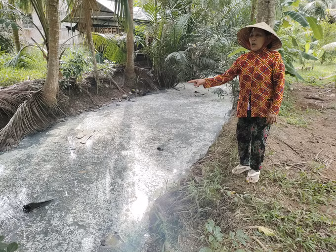 Người dân kiến nghị sớm khắc phục ô nhiễm kênh tại Giồng Trôm, Bến Tre ảnh 1