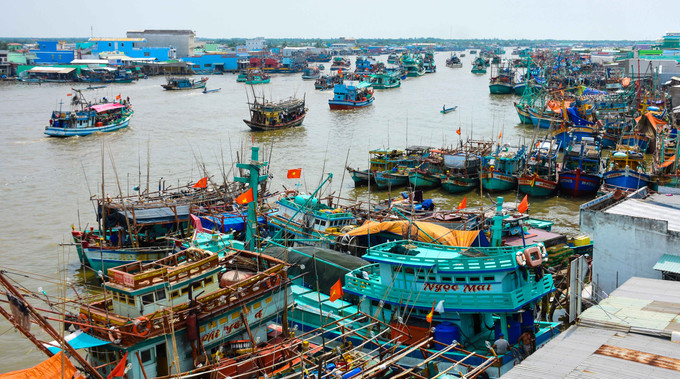 Thị trấn Sông Đốc, huyện Trần Văn Thời (Cà Mau), nơi có cửa biển Sông Đốc sôi động bậc nhất của khu vực Đồng bằng sông Cửu Long. Ảnh: Huỳnh Anh Cà Mau với chiến lược vươn lên từ biển ảnh 2