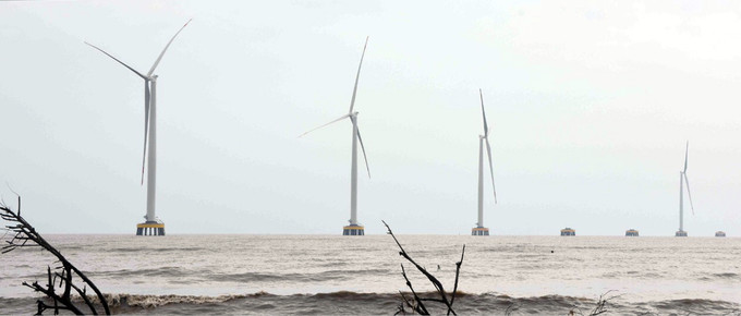 Đến nay, Cà Mau đã triển khai 12 dự án điện gió với tổng công suất 700 MW, trong đó có 10 dự án đã khởi công. Ảnh: Huỳnh Anh Cà Mau với chiến lược vươn lên từ biển ảnh 3
