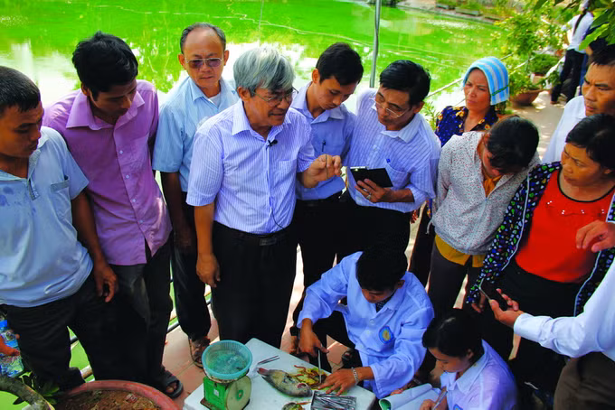 Hà Nội chú trọng hiệu quả đào tạo nghề cho lao động nông thôn ảnh 2