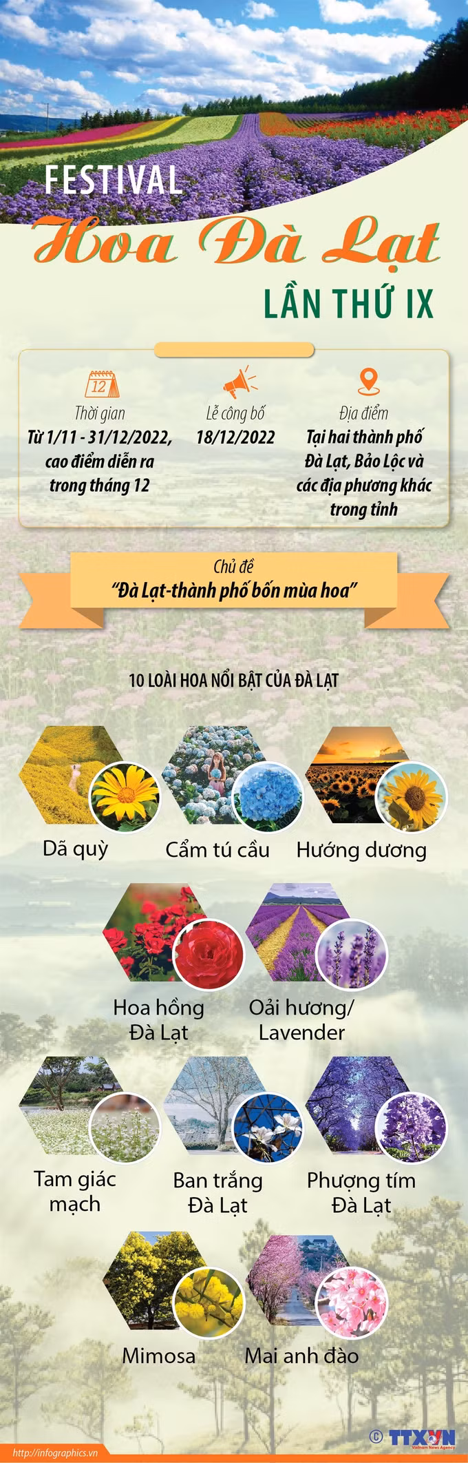 Phó Chủ tịch nước Võ Thị Ánh Xuân dự khai mạc Festival Hoa Đà Lạt lần thứ IX ảnh 5