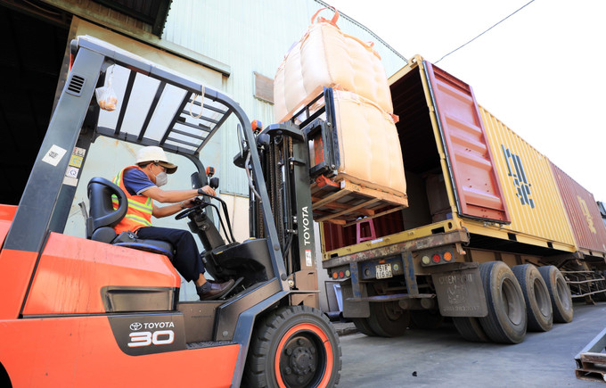 Một chuyến hàng được đóng container trực tiếp để xuất khẩu sang Mỹ của công ty TNHH MTV Xuất nhập khẩu 2-9 Đắk Lắk. Ảnh: Nhật Anh – TTXVN Xây dựng Buôn Ma Thuột là thành phố cà phê của thế giới ảnh 7