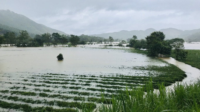 Ảnh hưởng mưa lũ, gần 35.000 học sinh miền núi Hà Tĩnh tạm dừng đến trường ảnh 3