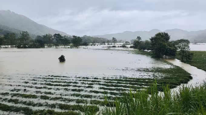 Ảnh hưởng mưa lũ, gần 35.000 học sinh miền núi Hà Tĩnh tạm dừng đến trường ảnh 3