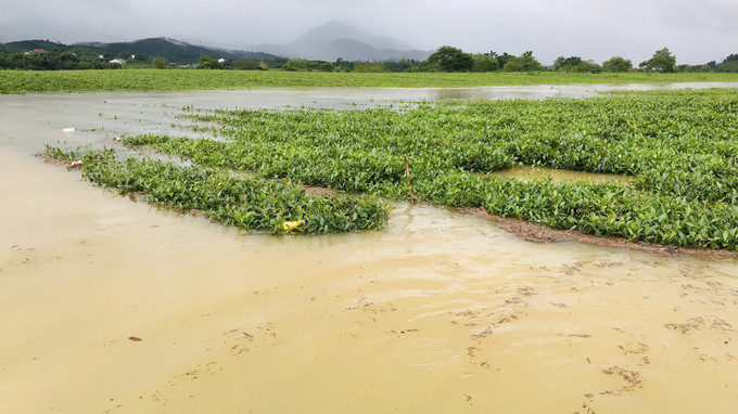 Ảnh hưởng mưa lũ, gần 35.000 học sinh miền núi Hà Tĩnh tạm dừng đến trường ảnh 1