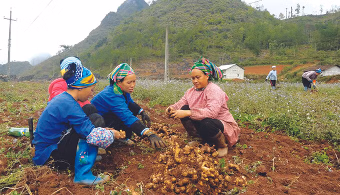 Đổi thay trên quê hương cách mạng Hà Quảng ảnh 6