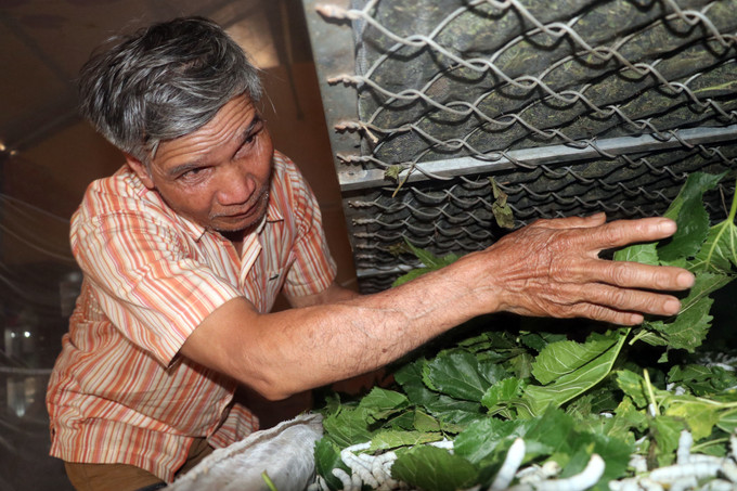 Cụ K’Biếu, người đầu tiên đưa con tằm về với buôn Klong Tum, xã N’thon Hạ, huyện Đức Trọng (Lâm Đồng). Ảnh: Chu Quốc Hùng Klong Tum no ấm với nghề trồng dâu nuôi tằm ảnh 3