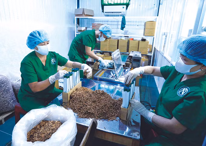 Krông Pắc đẩy mạnh thu hút đầu tư vào nông nghiệp công nghệ cao ảnh 2