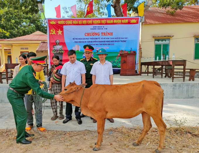 Binh đoàn 15 hỗ trợ bò sinh sản cho các hộ nghèo trên địa bàn tỉnh Gia Lai. Ảnh: Hồng Điệp Quân dân gắn kết chăm lo đời sống đồng bào dân tộc ở Gia Lai ảnh 4
