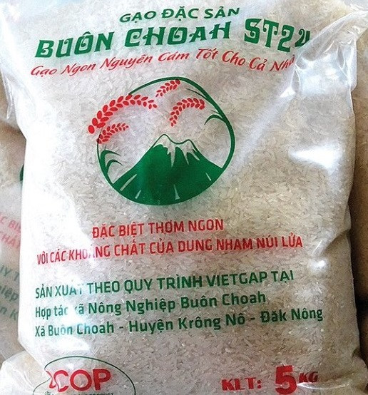 Sản phẩm gạo ST24 - thành phẩm sản xuất theo tiêu chuẩn VietGAP từ cánh đồng xã Buôn Chóah. Ảnh: Hưng Thịnh Lúa gạo buôn Chóah ảnh 3