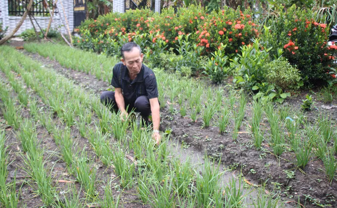 Hậu Giang đầu tư phát triển vùng đồng bào dân tộc Khmer ảnh 2