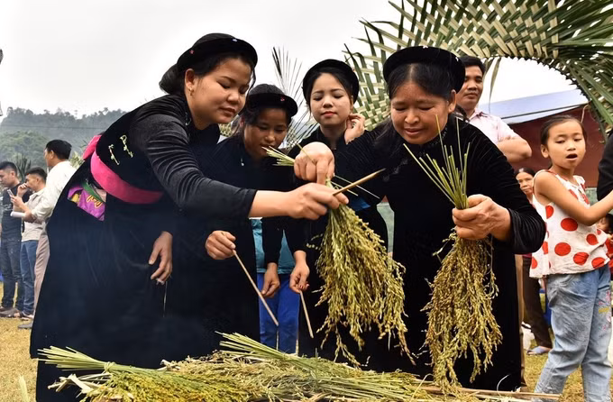 Đặc sắc Lễ hội Giã cốm của người Tày nơi vùng cao Côn Lôn ảnh 2