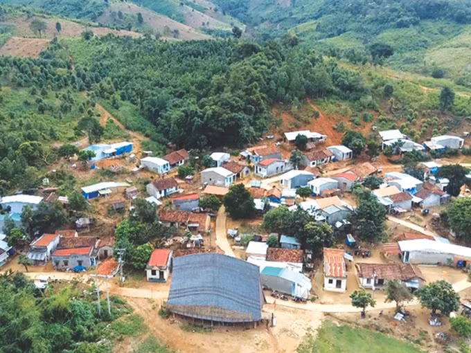 Tháng Tám trên quê hương Kon Rẫy ảnh 5