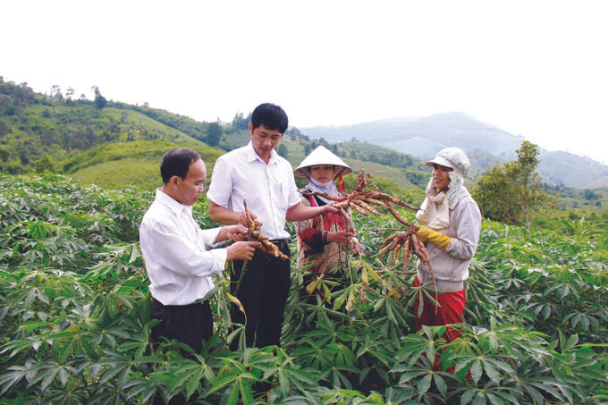 Nhiều mô hình kinh tế được đồng bào dân tộc trong huyện đầu tư, cho hiệu quả kinh tế cao. Ảnh: Văn Phương Tháng Tám trên quê hương Kon Rẫy ảnh 7