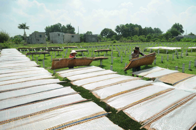 Nằm cách trung tâm Thành phố Hồ Chí Minh khoảng 40 km, làng nghề bánh tráng Phú Hòa Đông (huyện Củ Chi) có truyền thống lâu đời. Trong ảnh: Phơi bánh tráng - một trong những công đoạn đòi hỏi sự khéo léo của người dân làng nghề. Ảnh: Mạnh Linh Thành phố Hồ Chí Minh giữ gìn và phát triển các làng nghề truyền thống ảnh 3