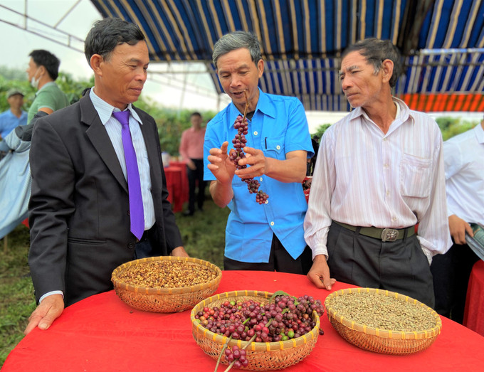 Nông dân huyện Krông Nô (Đắk Nông) chia sẻ kinh nghiệm sơ chế cà phê theo phương pháp Honey nông hộ. Ảnh: Krak Knul Đắk Nông hướng đến nền nông nghiệp xanh ảnh 5