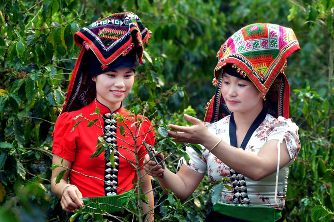 Huyện Thuận Châu (Sơn La) phấn đấu thoát nghèo vào năm 2025 ảnh 2