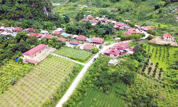 Huyện Thuận Châu (Sơn La) phấn đấu thoát nghèo vào năm 2025 ảnh 1