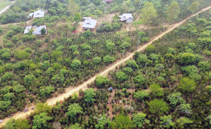 Huyện Thuận Châu (Sơn La) phấn đấu thoát nghèo vào năm 2025 ảnh 11