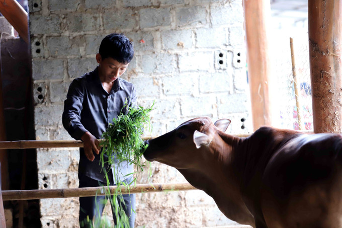 Huyện Thuận Châu (Sơn La) phấn đấu thoát nghèo vào năm 2025 ảnh 5