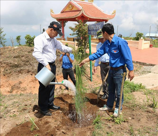 Bí thư Tỉnh ủy Kon Tum Dương Văn Trang tham gia trồng cây tại Lễ ra quân. Ảnh: TTXVN phát Kon Tum phát động trồng cây tại hai Di tích Quốc gia đặc biệt Điểm cao 1049 và 1015 ảnh 1